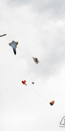 2013 Suche 29062013 Michal